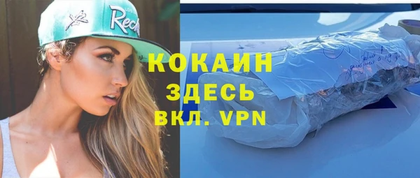 гидра Володарск