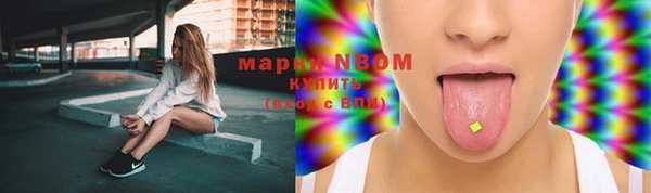 гидра Володарск