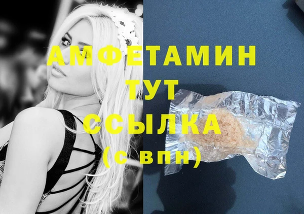 гидра Володарск