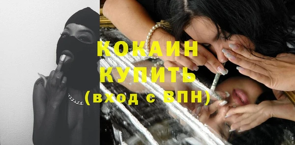 гидра Володарск